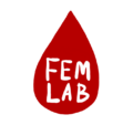 Fem Lab